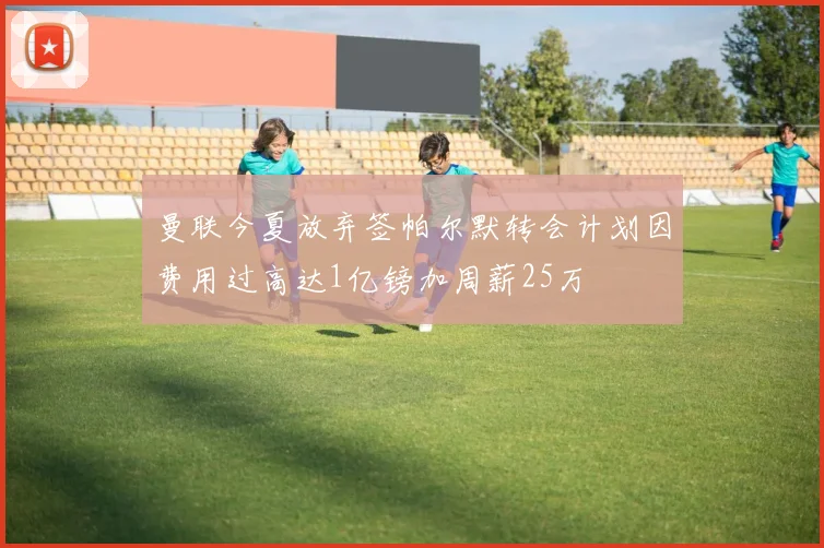 曼联今夏放弃签帕尔默转会计划因费用过高达1亿镑加周薪25万